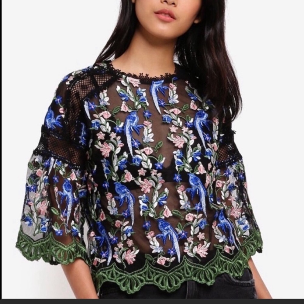 TOPSHOP Embroidered Mesh Top